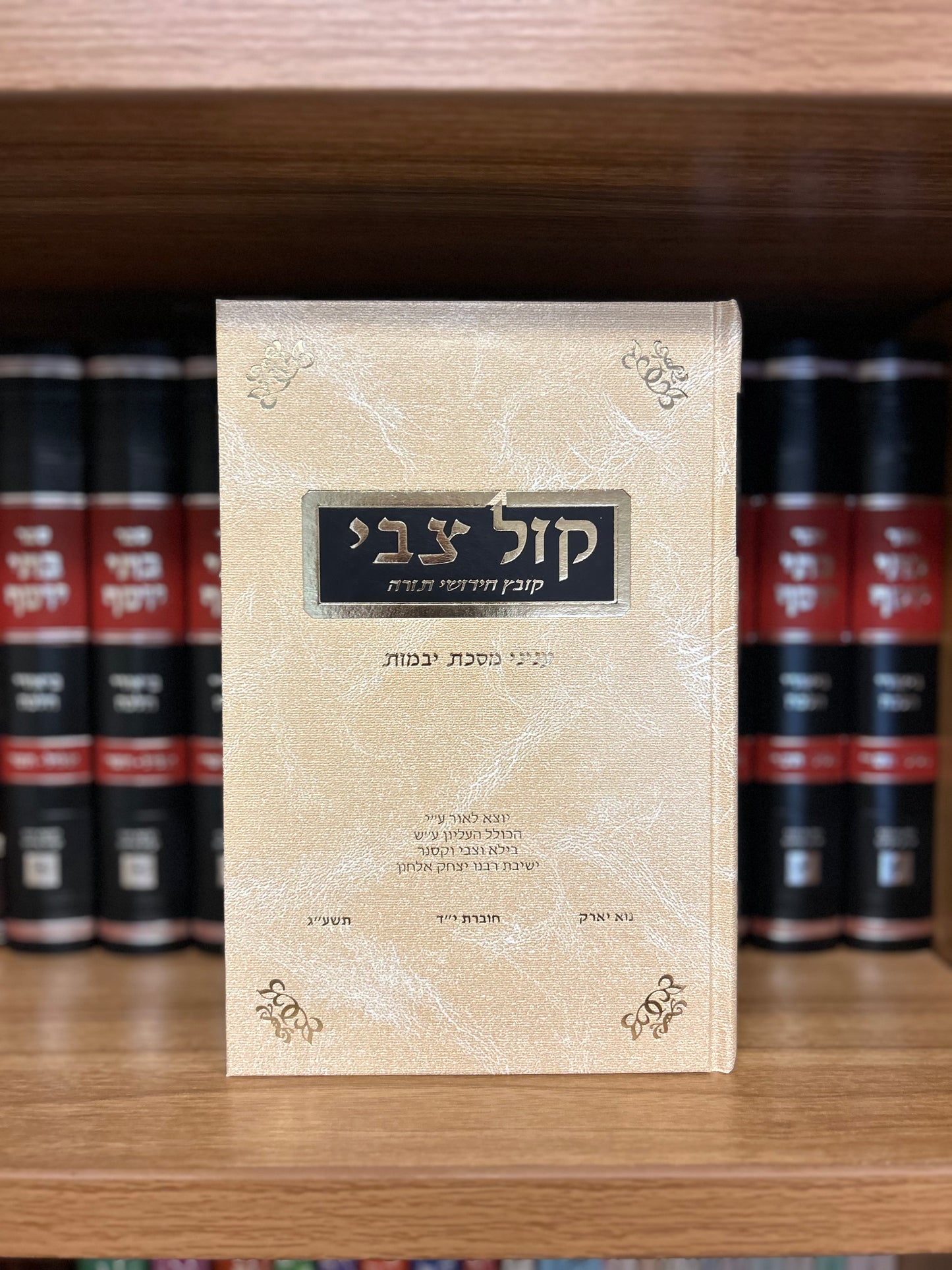 Kol Tzvi: Vol. 14 Yevamos
