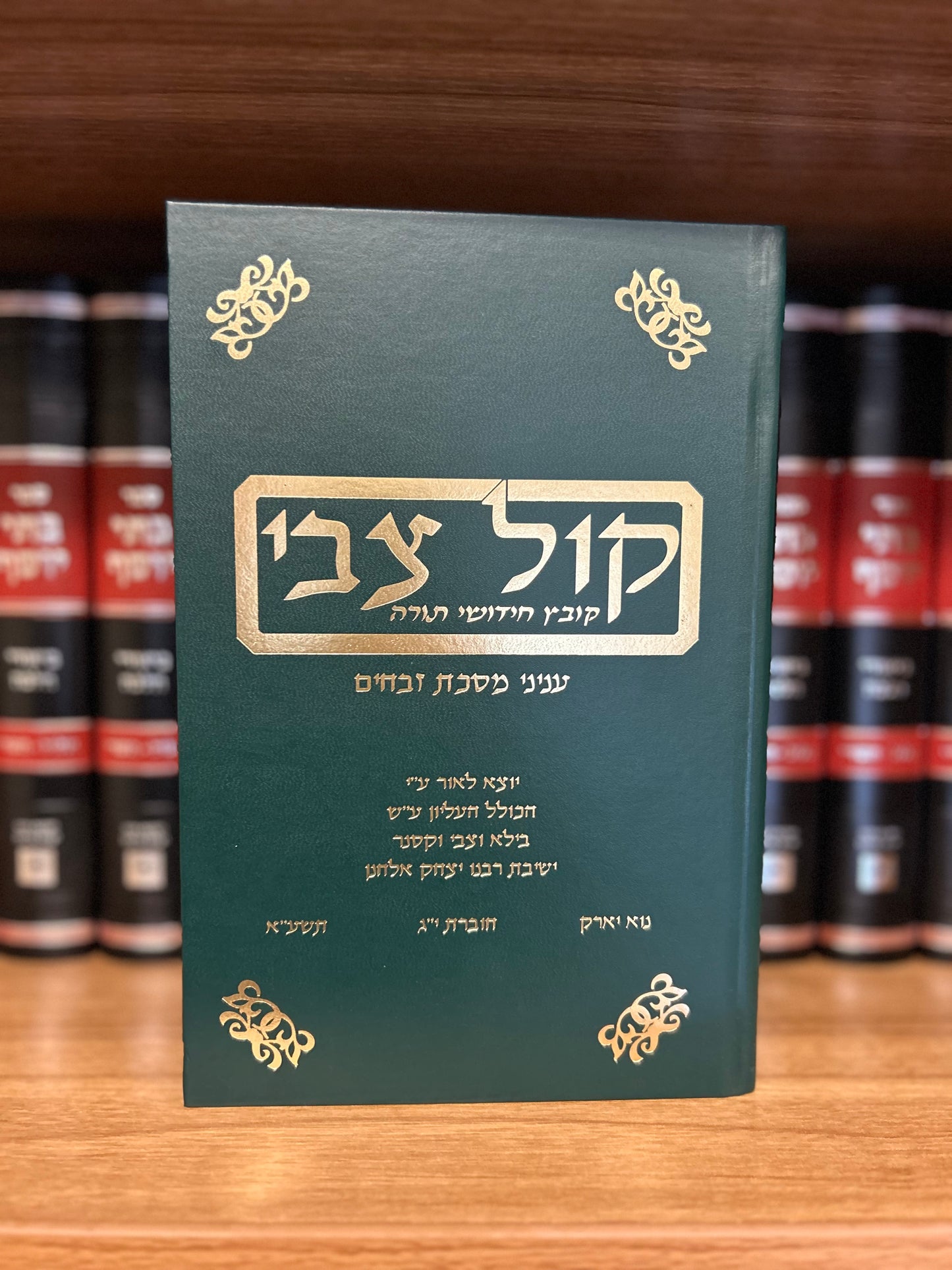 Kol Tzvi: Vol. 13 5771