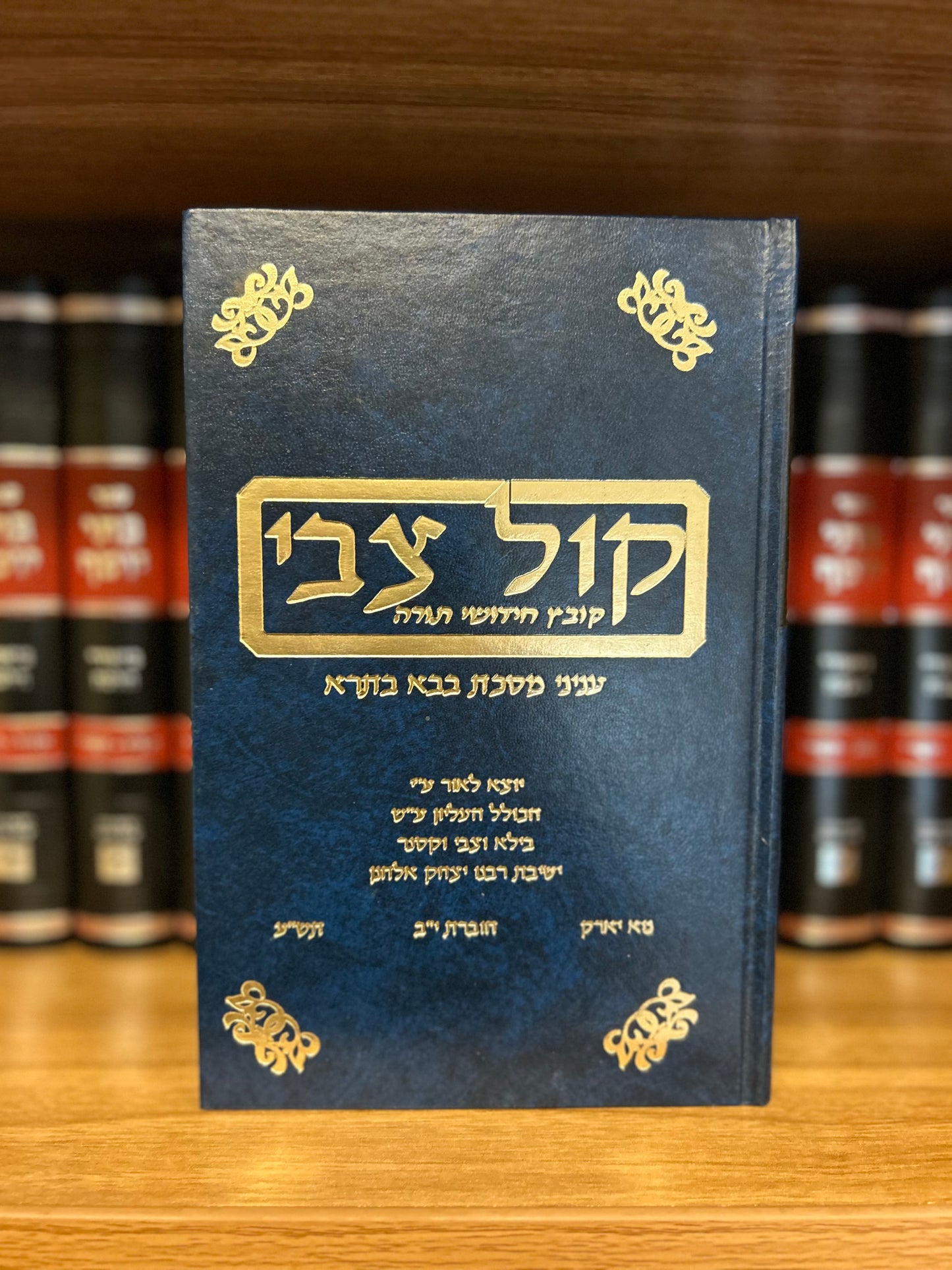 Kol Tzvi: Vol. 12 5770